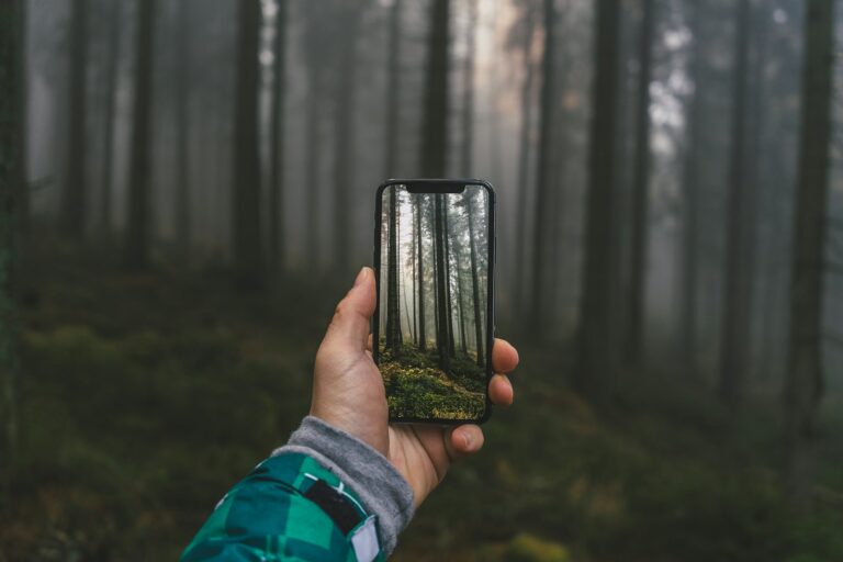 Smartphone tenu en forêt, déconnexion numérique