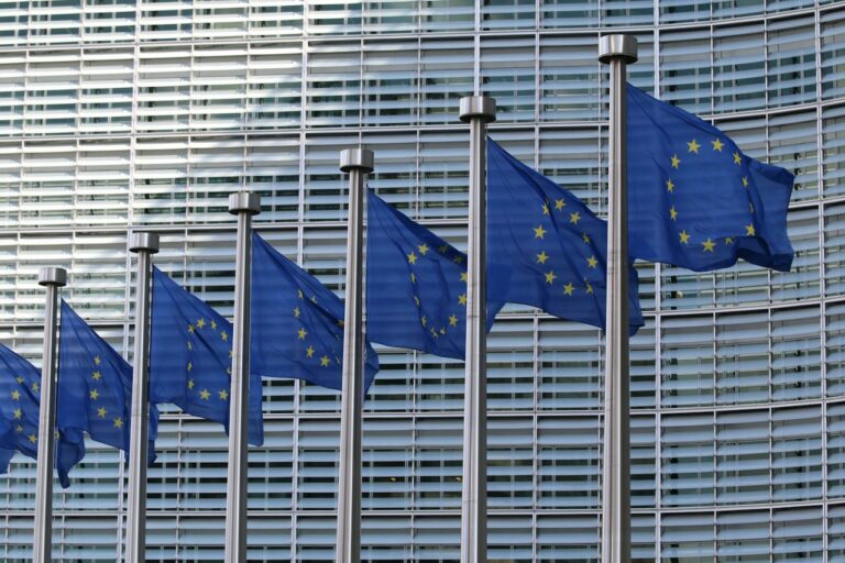 Drapeaux de l'Union européenne devant un bâtiment